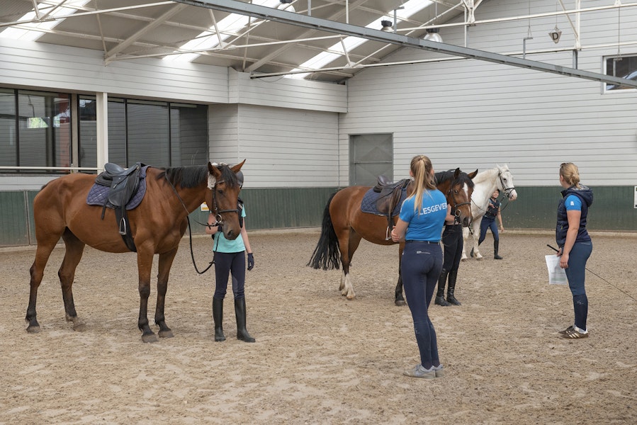 Sport Vlaanderen ‘Kattevenia’ Genk paardrijden