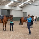 Sport Vlaanderen Kattevenia Genk paardrijden