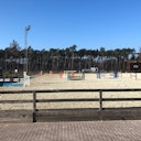 Sport Vlaanderen ‘Kattevenia’ Genk springparcours